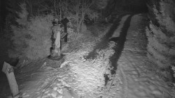 Bílá - běžecká trať