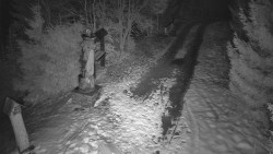 Bílá - běžecká trať