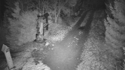 Bílá - běžecká trať