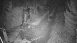 Bílá - běžecká trať