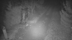 Bílá - běžecká trať