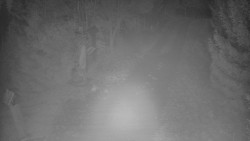 Bílá - běžecká trať