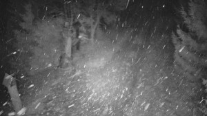 Skiareál Bílá - Bílá - běžecká trať - 16.12.2025 v 01:30 Skiareál Bílá - Bílá - běžecká trať - 16.12.2025 v 01:30