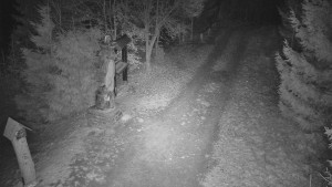 Skiareál Bílá - Bílá - běžecká trať - 16.12.2025 v 04:00 Skiareál Bílá - Bílá - běžecká trať - 16.12.2025 v 04:00