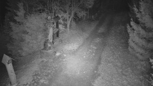 Skiareál Bílá - Bílá - běžecká trať - 16.12.2025 v 05:00 Skiareál Bílá - Bílá - běžecká trať - 16.12.2025 v 05:00