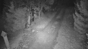 Skiareál Bílá - Bílá - běžecká trať - 16.12.2025 v 06:00 Skiareál Bílá - Bílá - běžecká trať - 16.12.2025 v 06:00