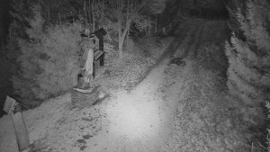 Skiareál Bílá - Bílá - běžecká trať - 16.12.2025 v 16:30 Skiareál Bílá - Bílá - běžecká trať - 16.12.2025 v 16:30