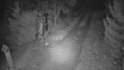 Bílá - běžecká trať