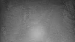 Bílá - běžecká trať