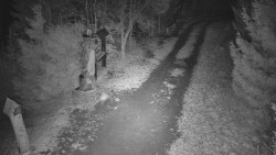 Bílá - běžecká trať