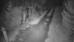 Bílá - běžecká trať