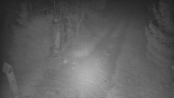 Bílá - běžecká trať