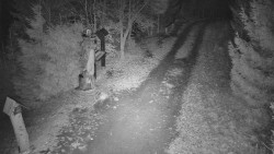 Bílá - běžecká trať