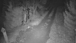 Bílá - běžecká trať