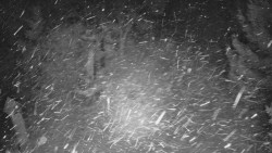 Bílá - běžecká trať