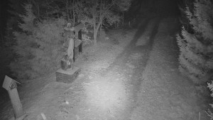 Skiareál Bílá - Bílá - běžecká trať - 26.12.2025 v 02:30