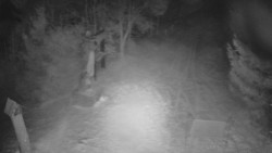 Bílá - běžecká trať