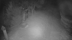 Bílá - běžecká trať