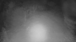 Bílá - běžecká trať