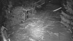 Bílá - běžecká trať