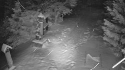 Bílá - běžecká trať