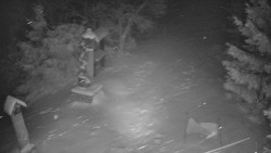 Bílá - běžecká trať