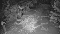 Bílá - běžecká trať