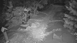 Bílá - běžecká trať