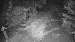 Skiareál Bílá - Bílá - běžecká trať - 2.1.2026 v 02:30