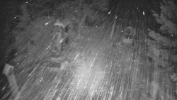 Bílá - běžecká trať