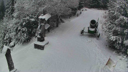 Bílá - běžecká trať