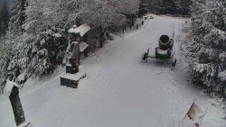 Bílá - běžecká trať