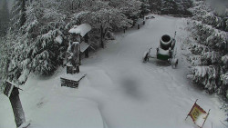 Bílá - běžecká trať