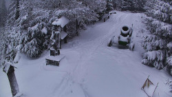 Bílá - běžecká trať