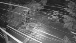 Bílá - běžecká trať