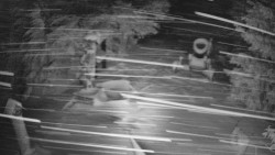 Bílá - běžecká trať