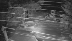 Bílá - běžecká trať