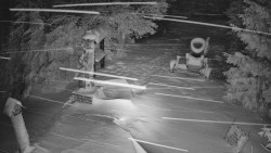 Bílá - běžecká trať