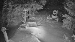 Bílá - běžecká trať