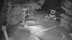 Bílá - běžecká trať