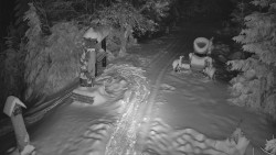 Bílá - běžecká trať