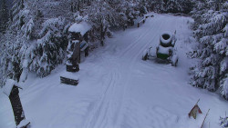 Bílá - běžecká trať