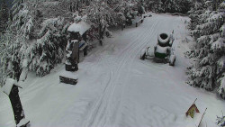 Bílá - běžecká trať