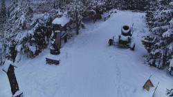 Bílá - běžecká trať