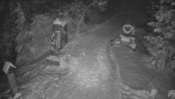 Bílá - běžecká trať