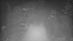 Bílá - běžecká trať