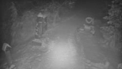 Bílá - běžecká trať