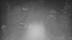 Bílá - běžecká trať