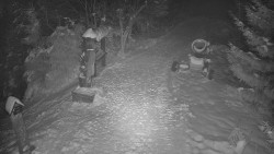 Bílá - běžecká trať