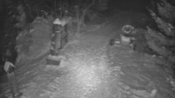 Bílá - běžecká trať